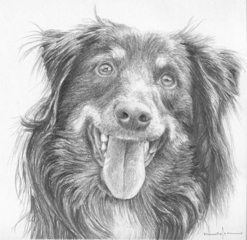 learn how to draw