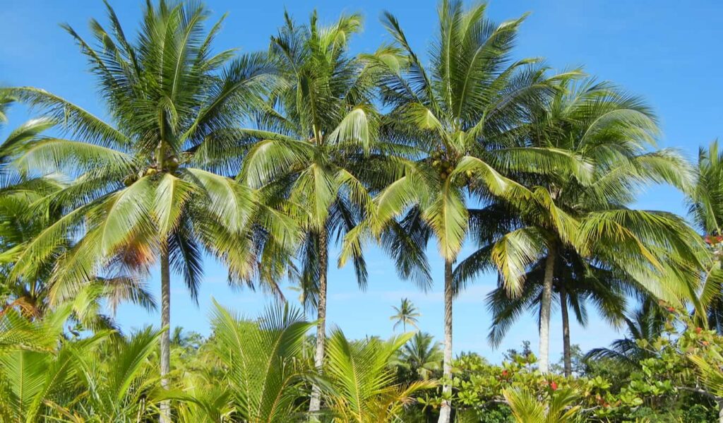 travel on a budget central america