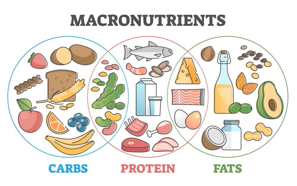 Macronutrients table Macronutrients table