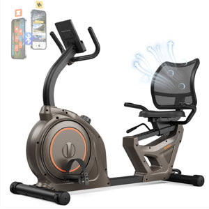 Recumbent Exercise Bike