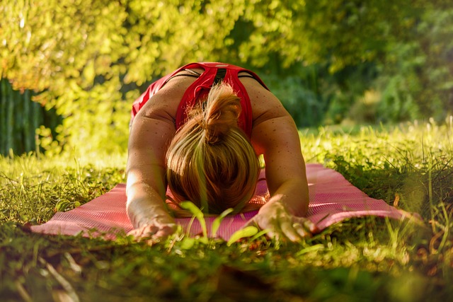 woman 2662237 640 Stretch and Flex