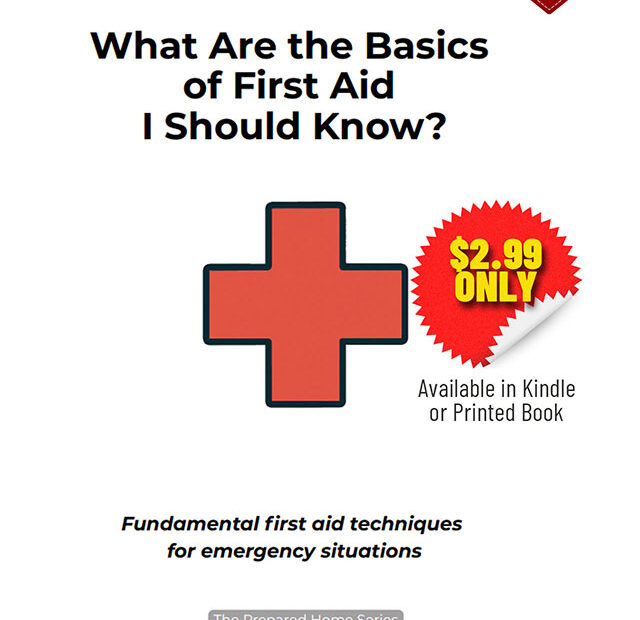 What Are the Basics of First Aid I Should Know sml