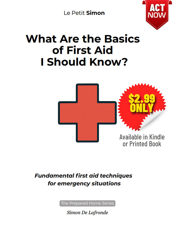 What-Are-the-Basics-of-First-Aid-I-Should-Know-sml