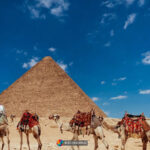 The Pyramids Were Not Built by Slaves. We Know Who Built Them and What...