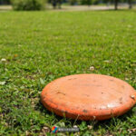 The-Inventor-of-the-Frisbee